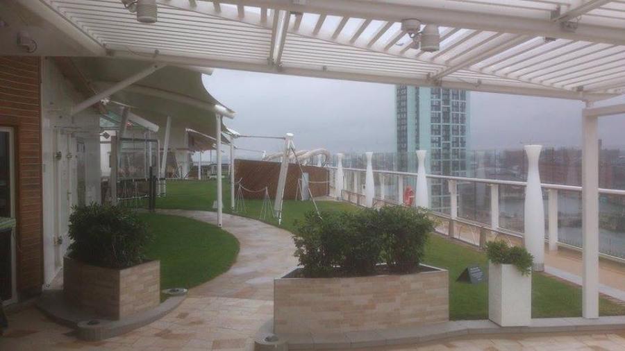 13892101_1184195194959879_6602668405547331891_n